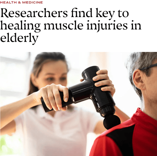 Researchers find key to healing muscle injuries in seniors - Koala Stress Free