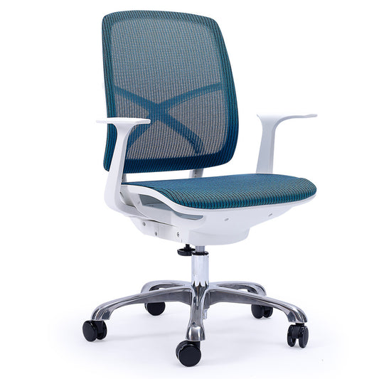 Ergosi Ergonomic Office Desk Chair