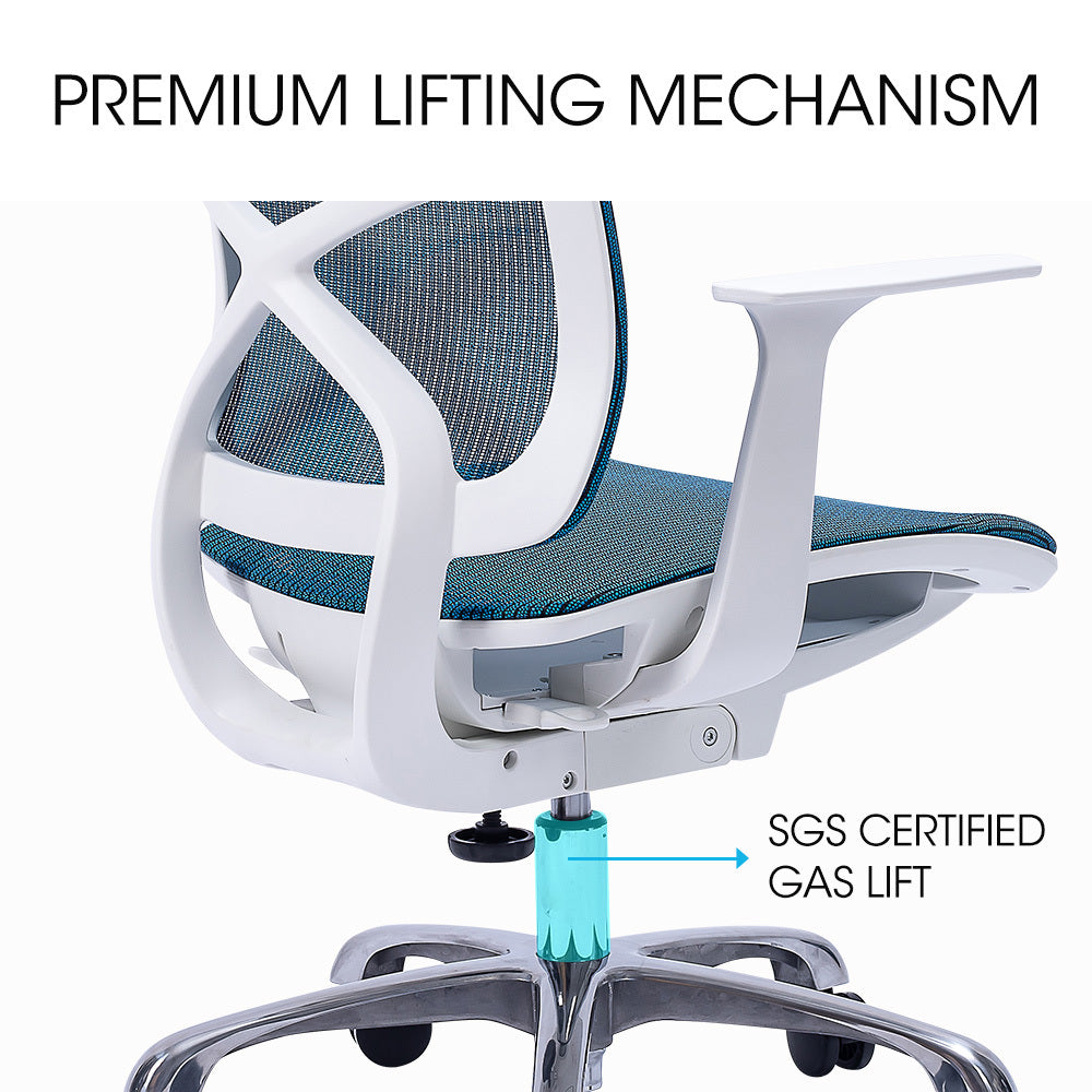 Ergosi Ergonomic Office Desk Chair