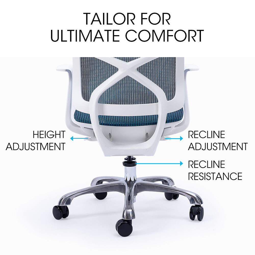 Ergosi Ergonomic Office Desk Chair