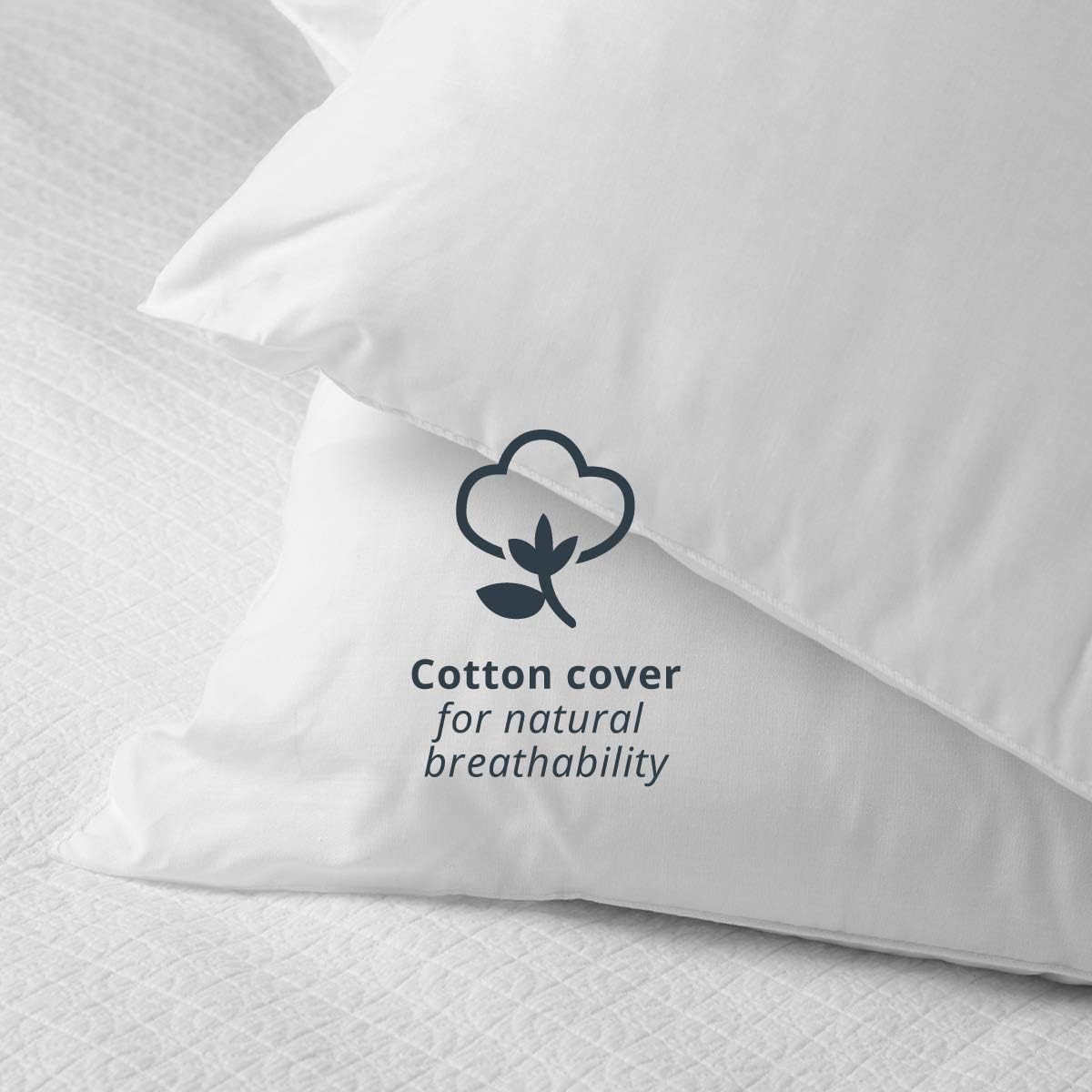 Koala Cub Comfort Pillow: Extra Soft & Low for Kids, Anti-Allergy with Natural Cotton Cover