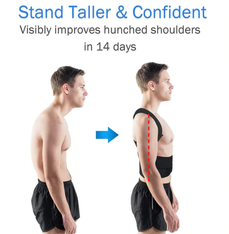 NATURAL POSTURE - COMPLETE BACK CARE BRACE - Koala Stress Free